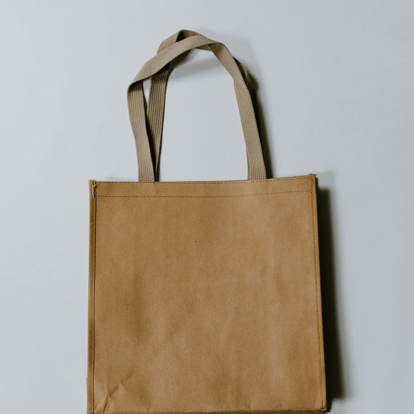 Everyday Canvas Carryall